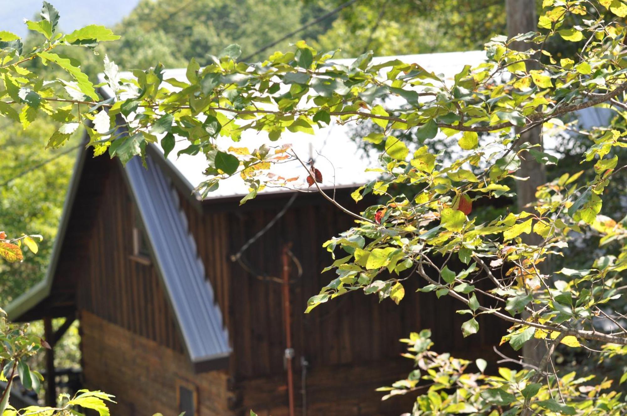 Willa Bears Among Us Gatlinburg Zewnętrze zdjęcie